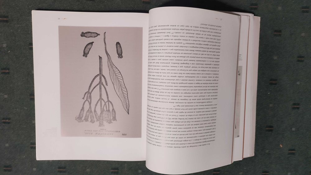 A Viagem dos Sabores - Rui Rocha