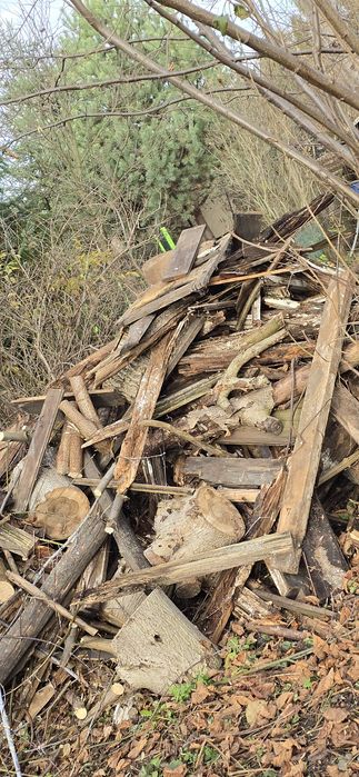 Drewo gałezie deski