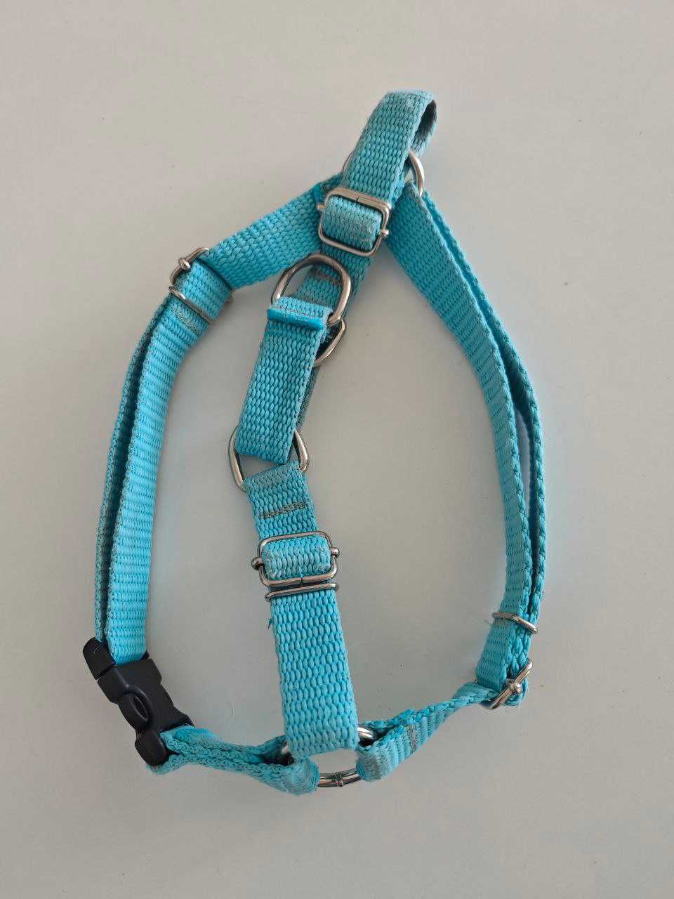 Szelki dla psa Easy Walk - rozmiar M, kolor niebieski