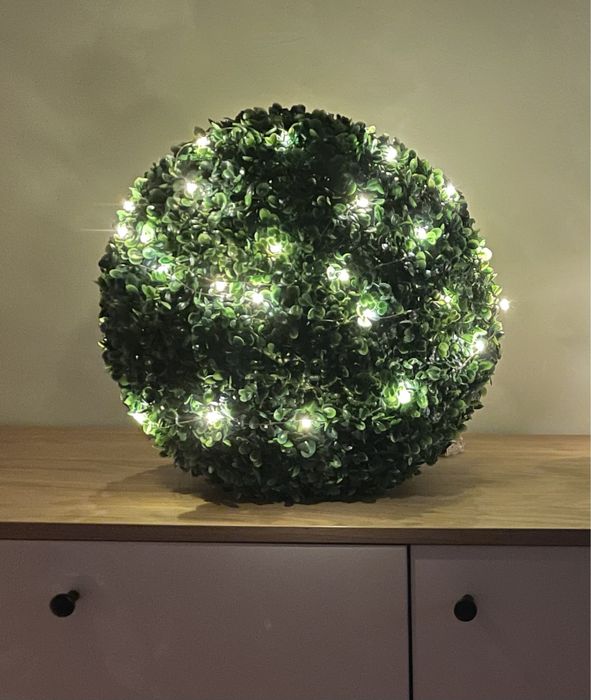 Kula Bukszpanowa 24 cm z białą donicą