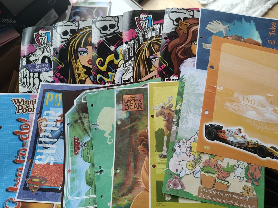 Karteczki do segregatora