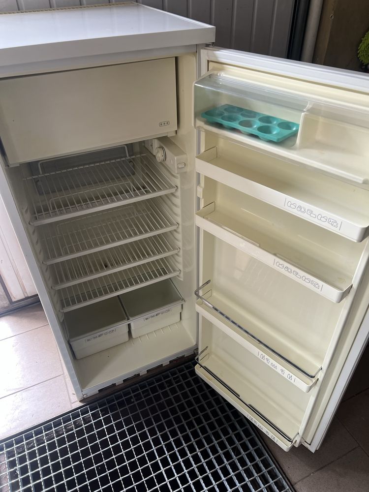 Lodówka wolnostojąca Zamussi