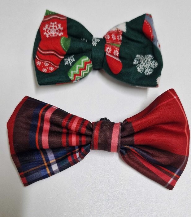 Conjunto de laços para cão