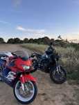 Honda cbr 600f4 1999
