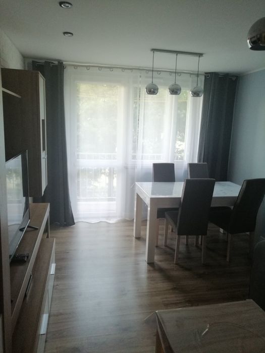 Mieszkanie do wynajęcia