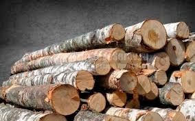 Продам дрова (доставка в подарунок)