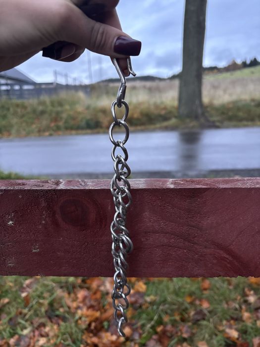 Łańcuszek do munsztuka