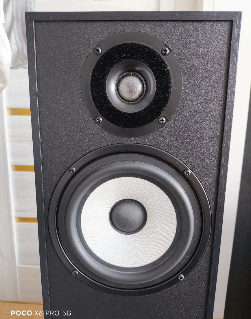 Pylon Audio Pearl 20