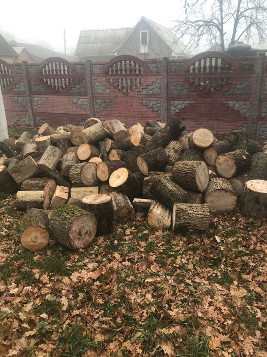 Продам дрова твёрдых пород
