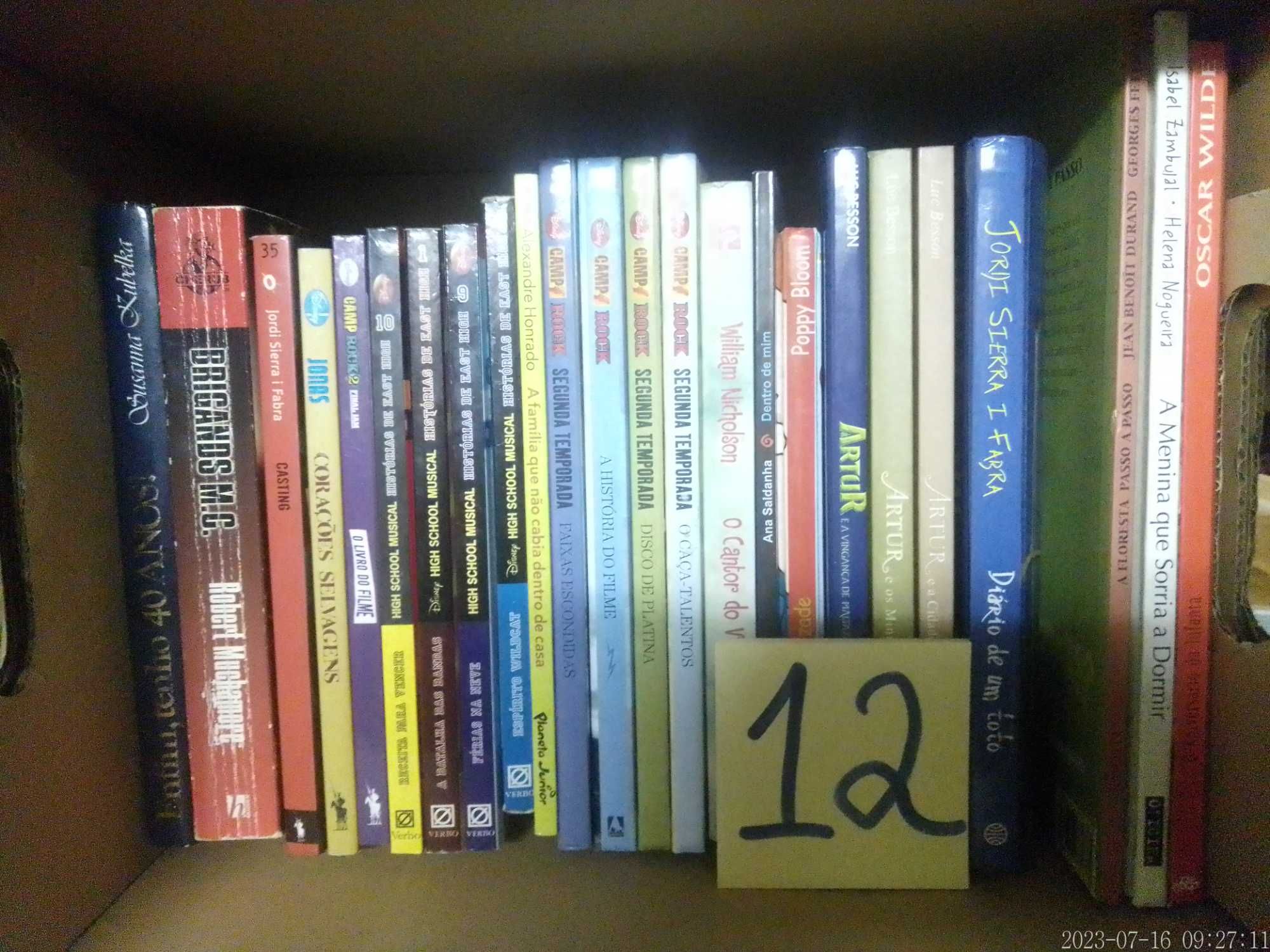 LOTE 12 - LIVROS Diversos - Vendidos INDIVIDUALMENTE - Vários Preços