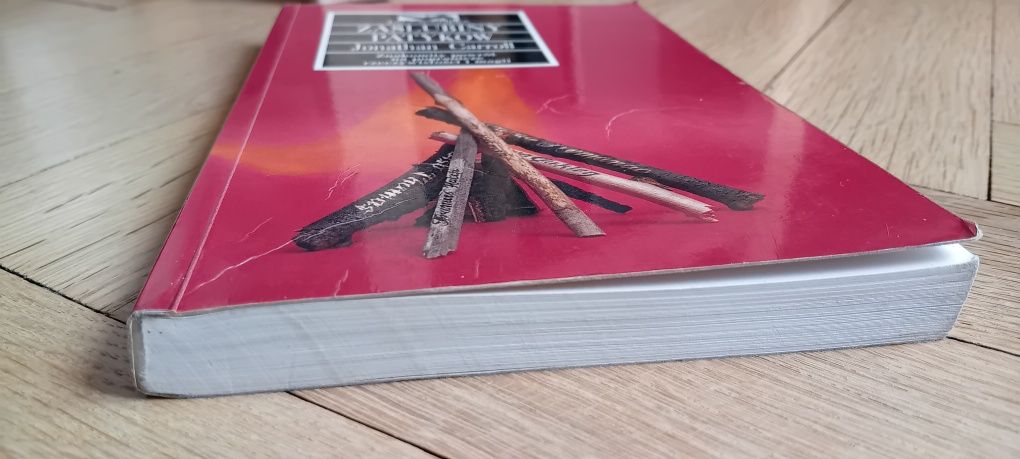 Książka "Zaślubiny patyków" Jonathan Carroll
