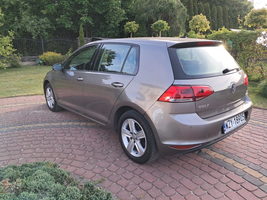 Volkswagen Golf 1,6 TDI  Salonowy,Bezwypadkowy