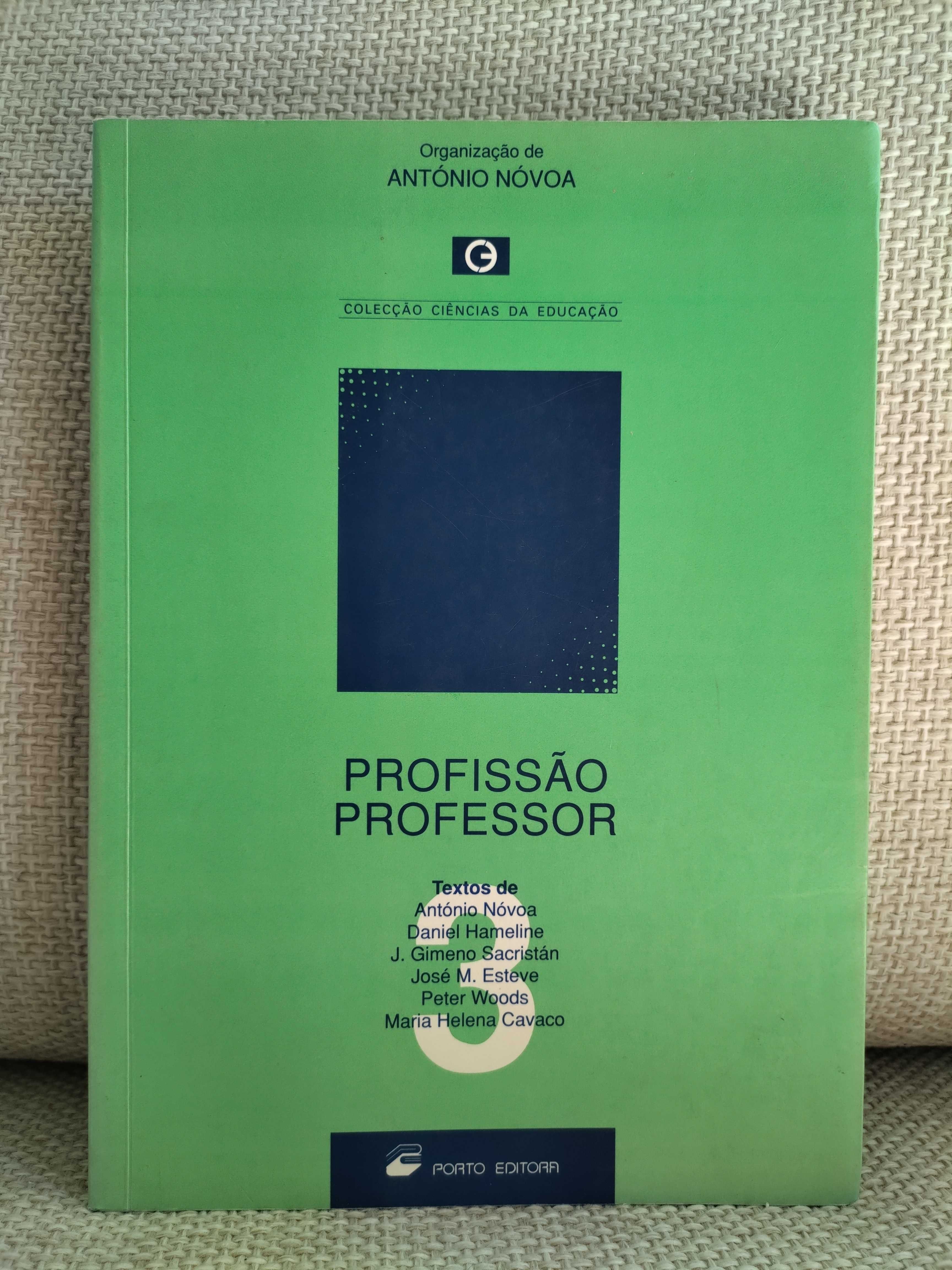 Profissão Professor (António Nóvoa, org.)