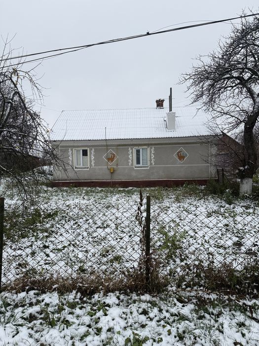 Продам будинок село Бочаниця