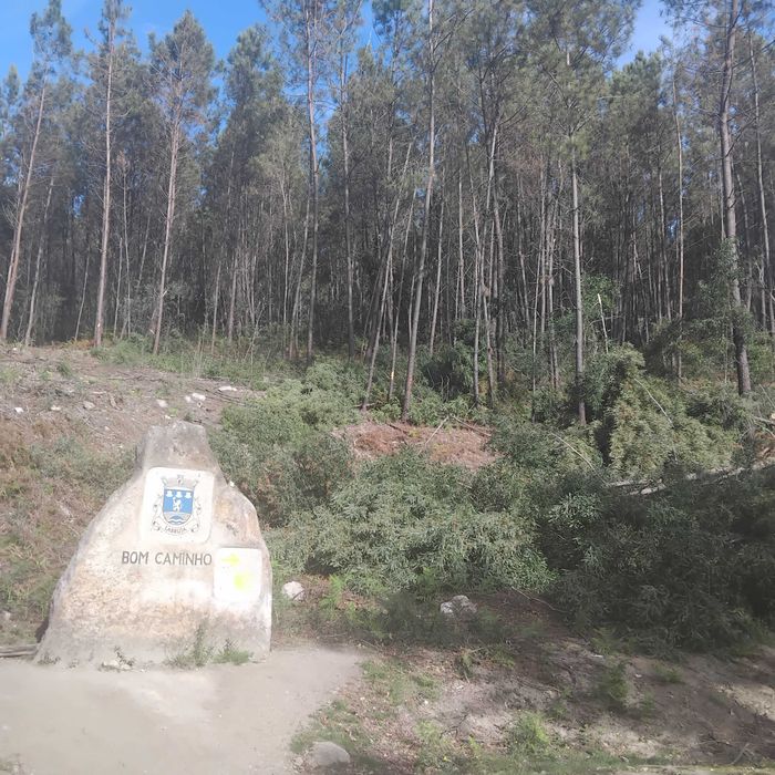 Fazemos Limpesas de terrenos