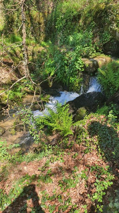 Propriedade com 4ha com Casas, Água, Vista e Muito Acolhedora