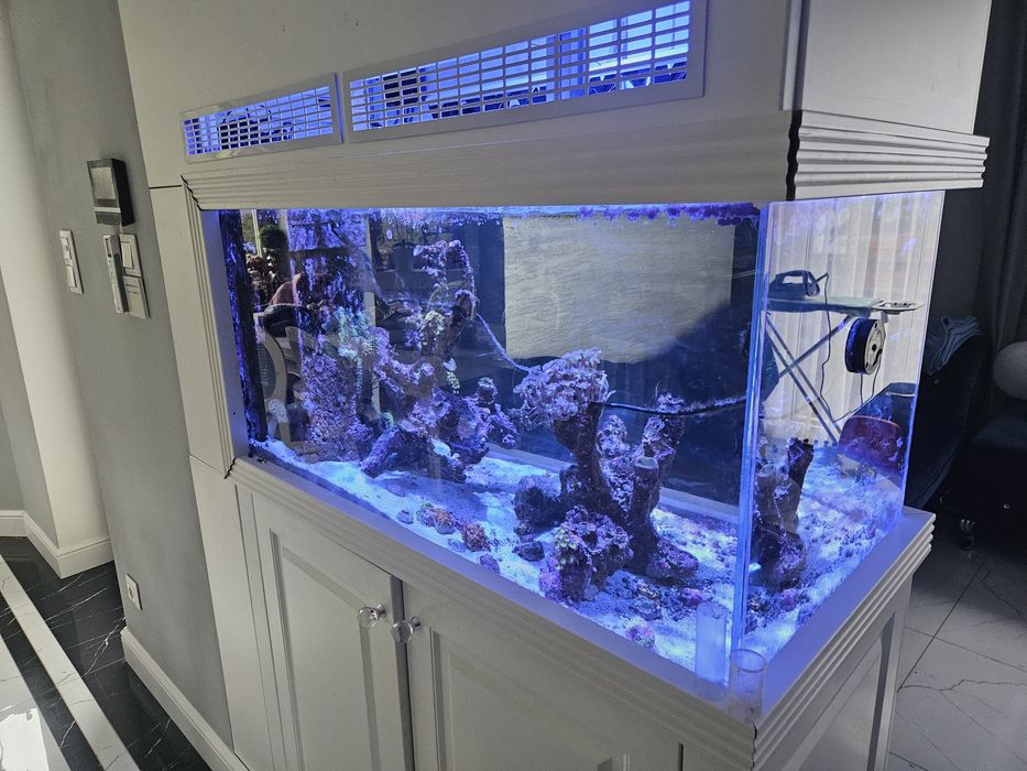 Zestaw w zabudowie - akwarium morskie 250l 100x50x50