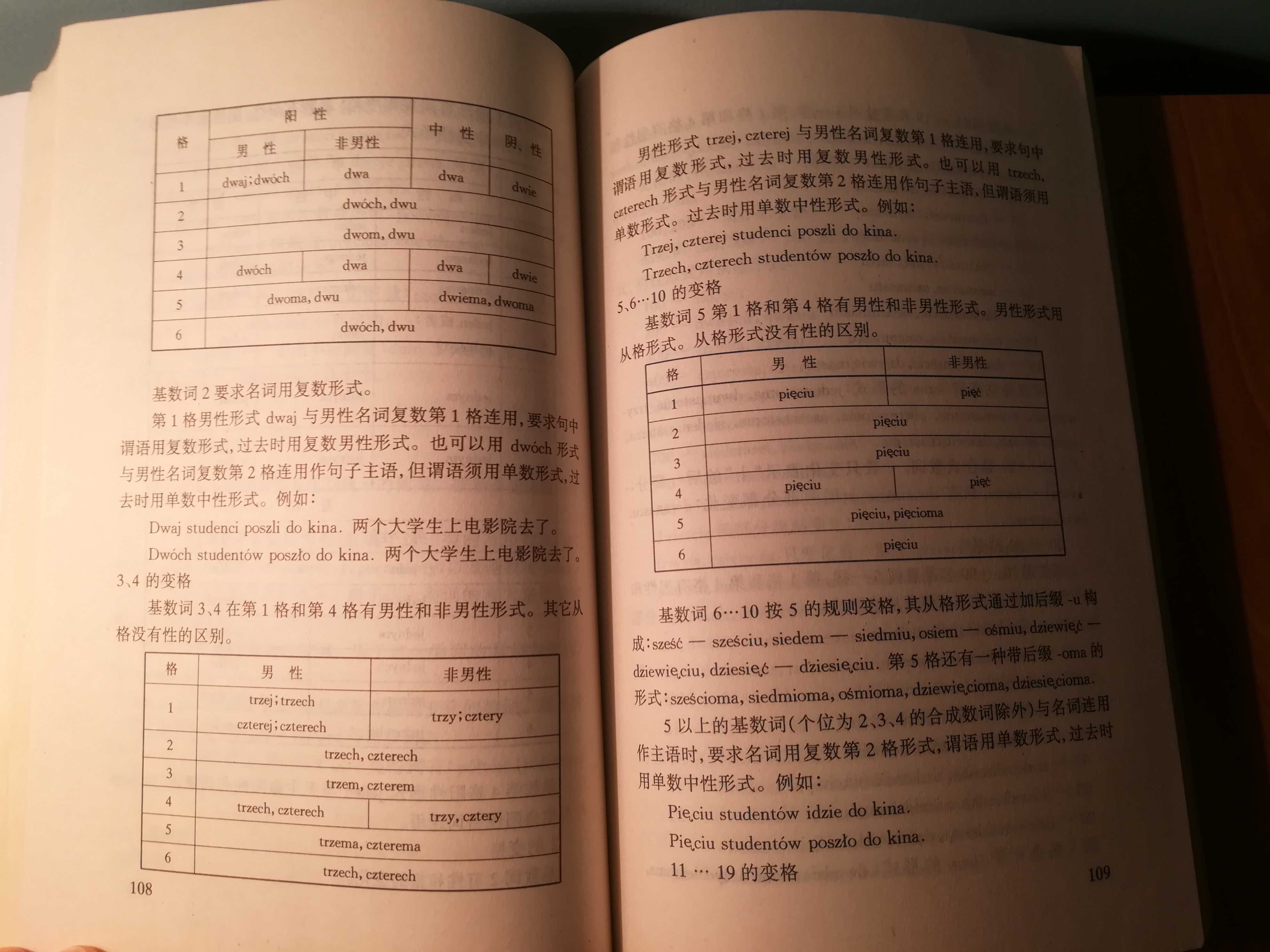 Gramatyka języka polskiego 波兰语语法, Li Jintao