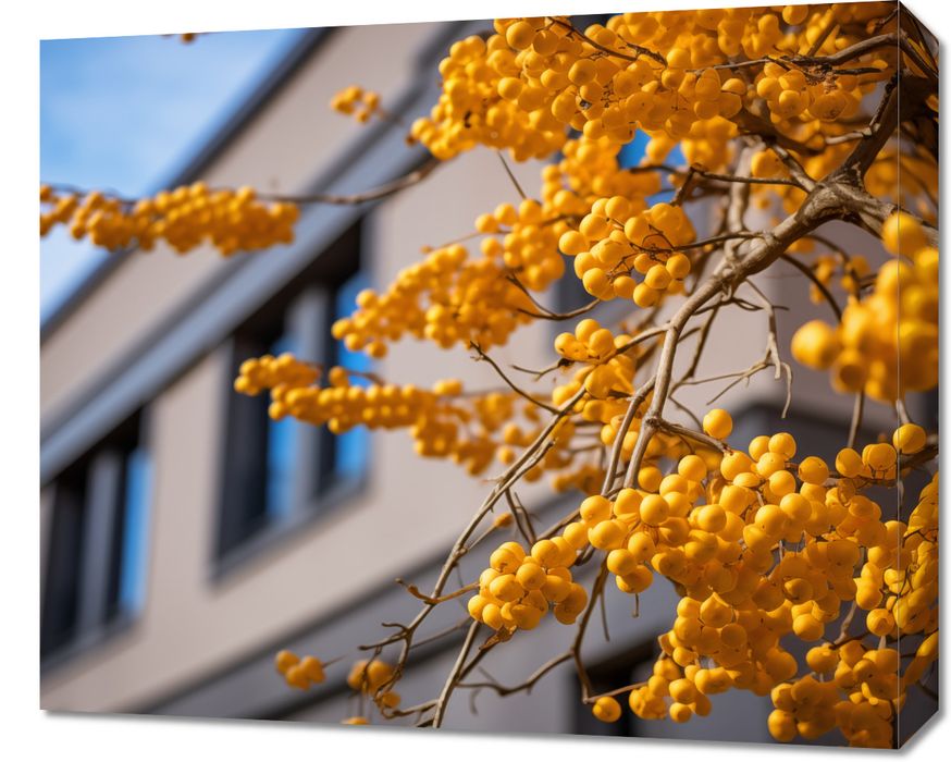 Obraz 60x50cm Złote Jagody