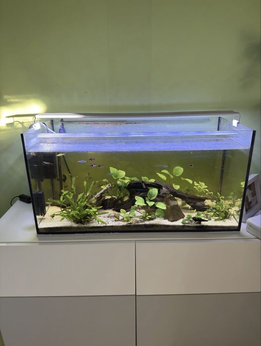 Akwarium 110l z całym sprzętem