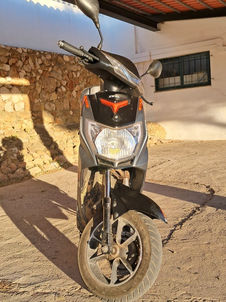 Mota elétrica Goose