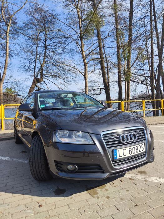 Audi A3 3-drzwiowe Audi A3 8p 1.6 MPI LPG skrzynia manualna polift