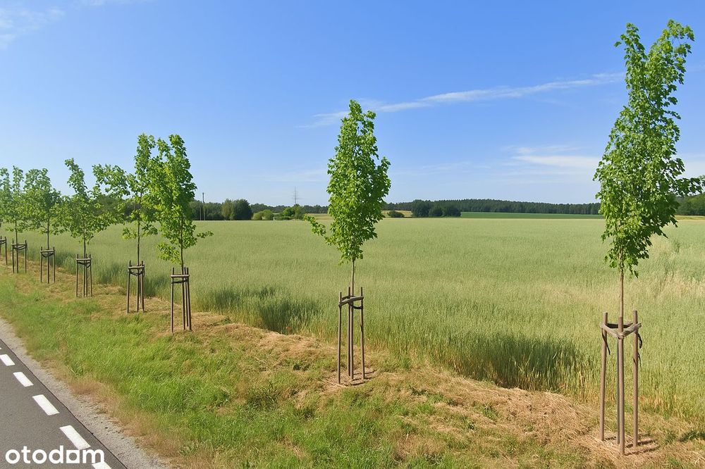 27 000 m2 ZABUDOWA ZAGRODOWA  + 16 000 m2 TERENY ROLNE | Gmina Dopiewo