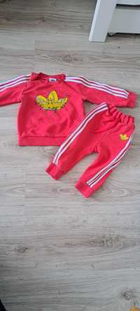 Dres Adidas rozmiar 80