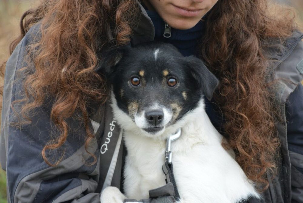 Maja- potrzebuje kochajacego człowieka i domu