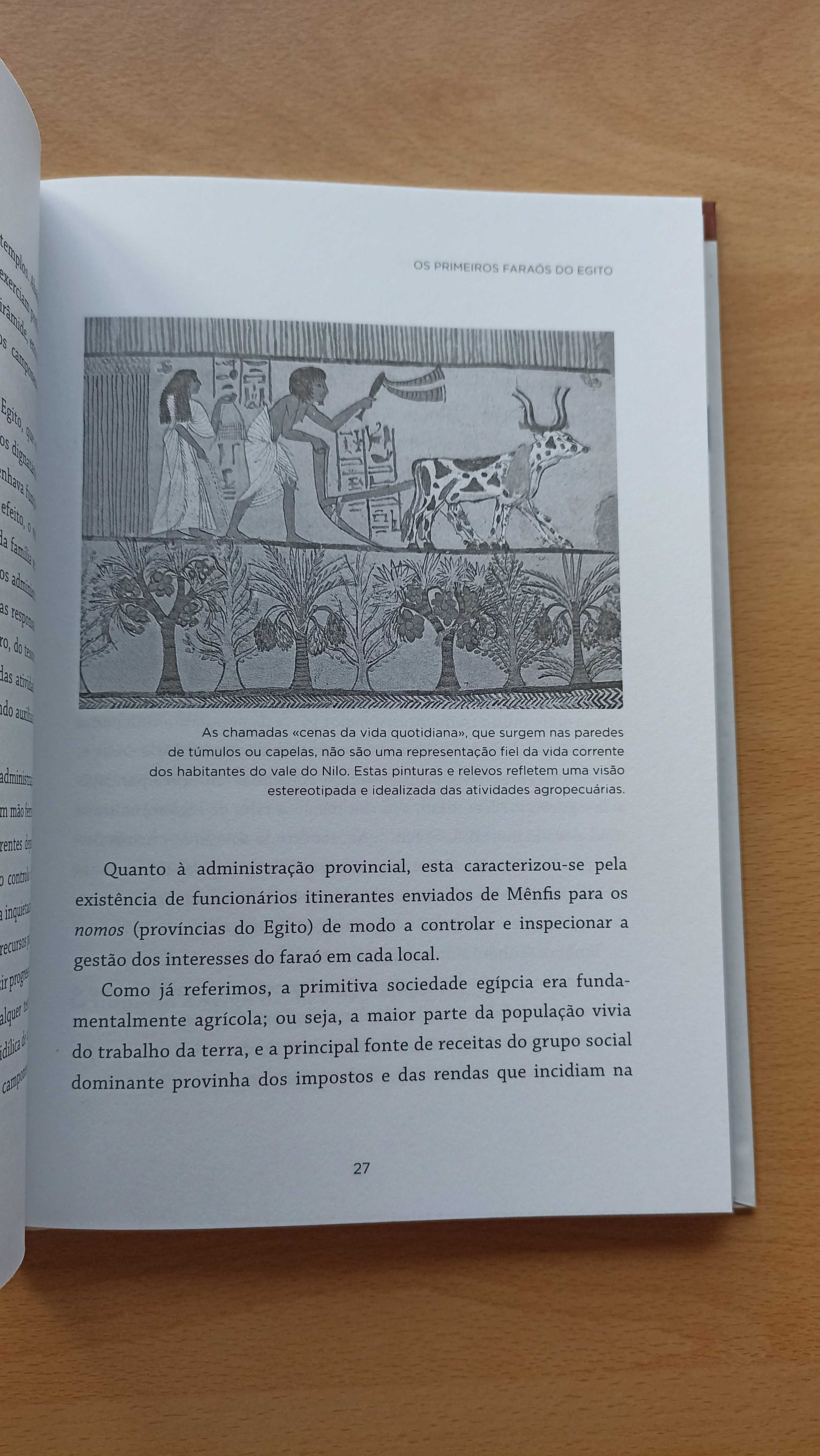 Livro "O Antigo Egito e a Mesopotâmia"