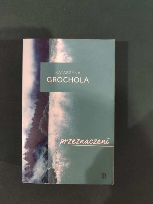 Sprzedam książkę Grocholi