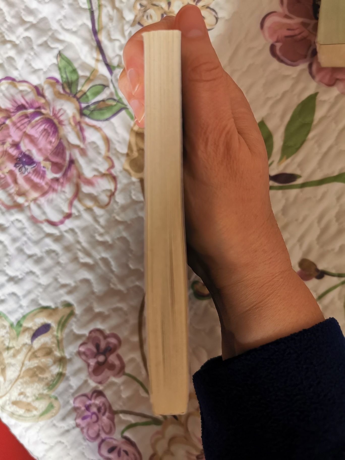 Terra de Neve de Yasunari Kawabata