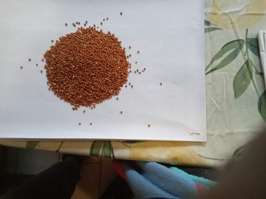 Продам висівку. Комбікорм.січку.макарони. мучку
