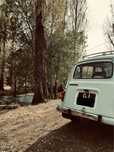 Renault 4L de 1984