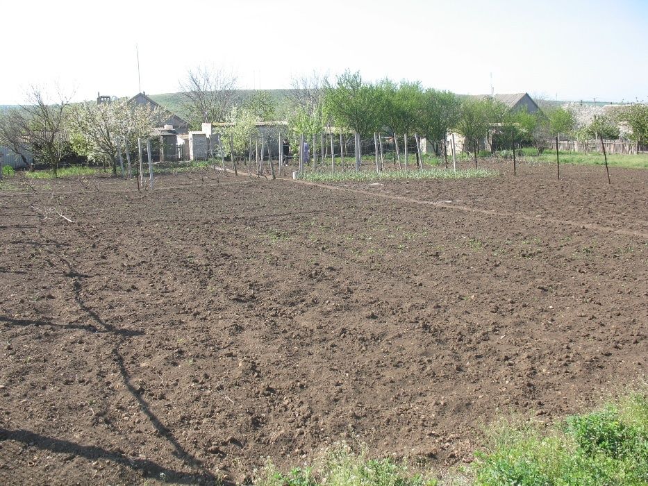 Продам дом в с.Палиево,