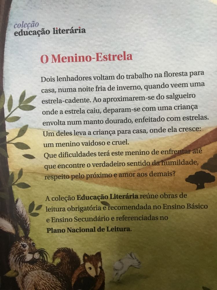 Livro - O Menino- Estrela - Oscar Wilde