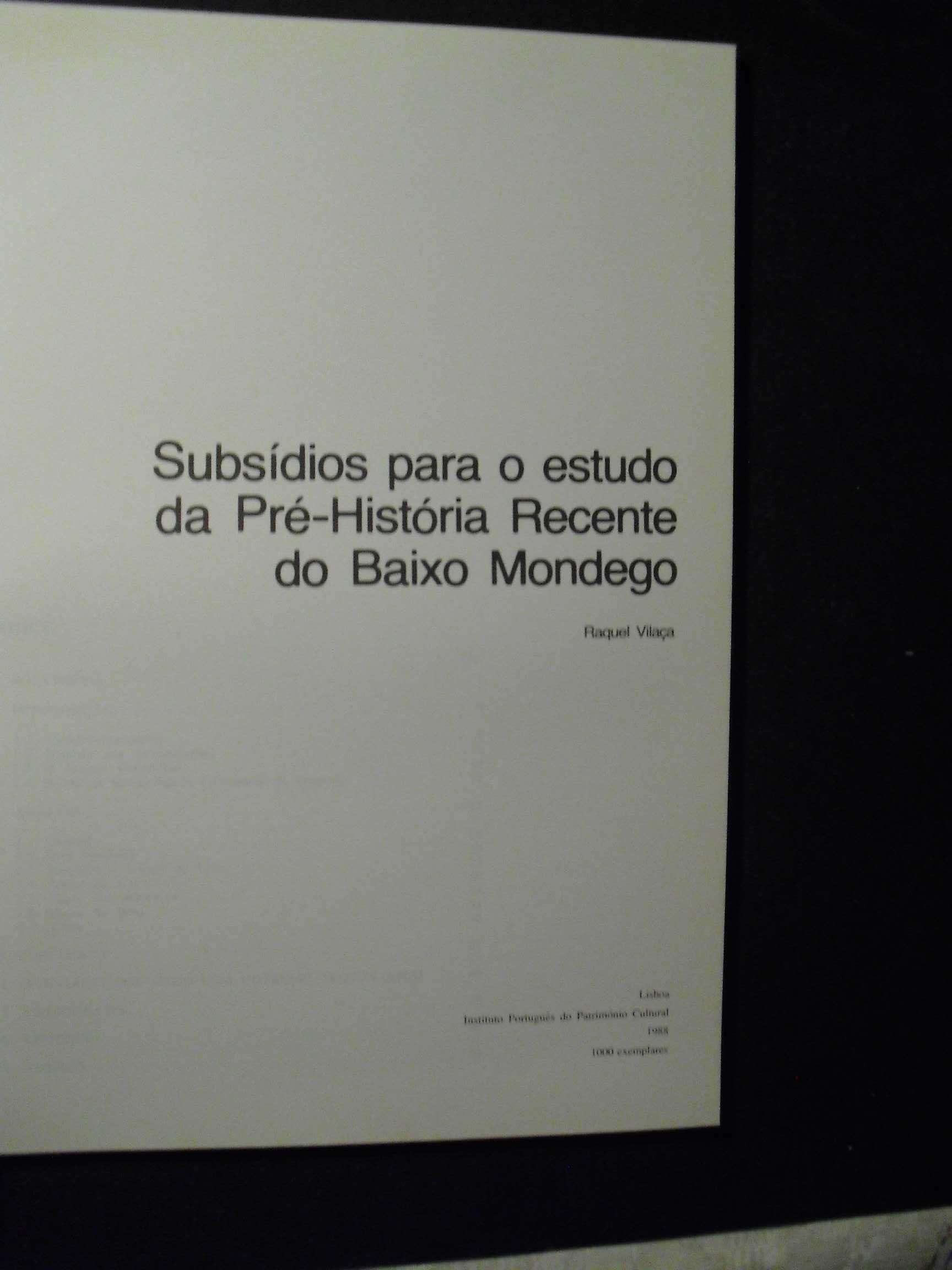 Vilaça (Raquel)-Estudo da Pré-História Recente do Baixo Mondego