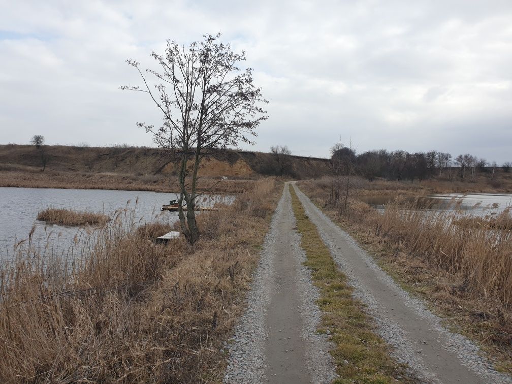 Ціна за всю ділянку. Земельна ділянка 10 соток