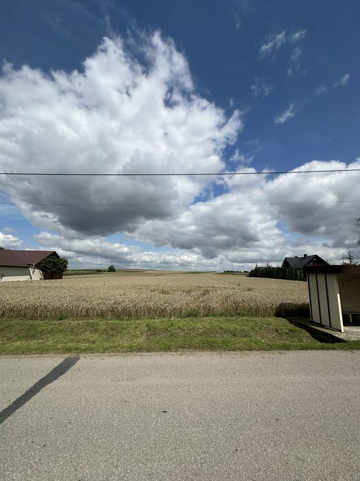 Sprzedam działki budowlane 8-12 ar