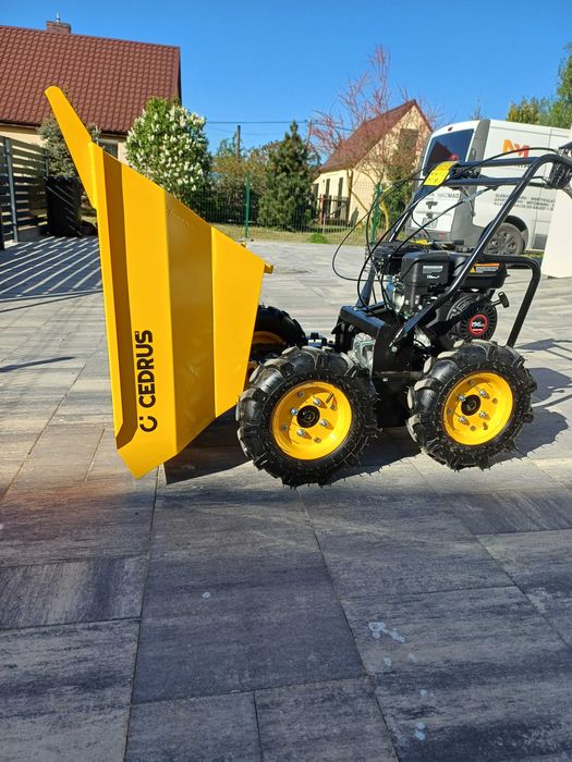 Wynajem Wozidło Transporter Taczka Spalinowy Cedrus