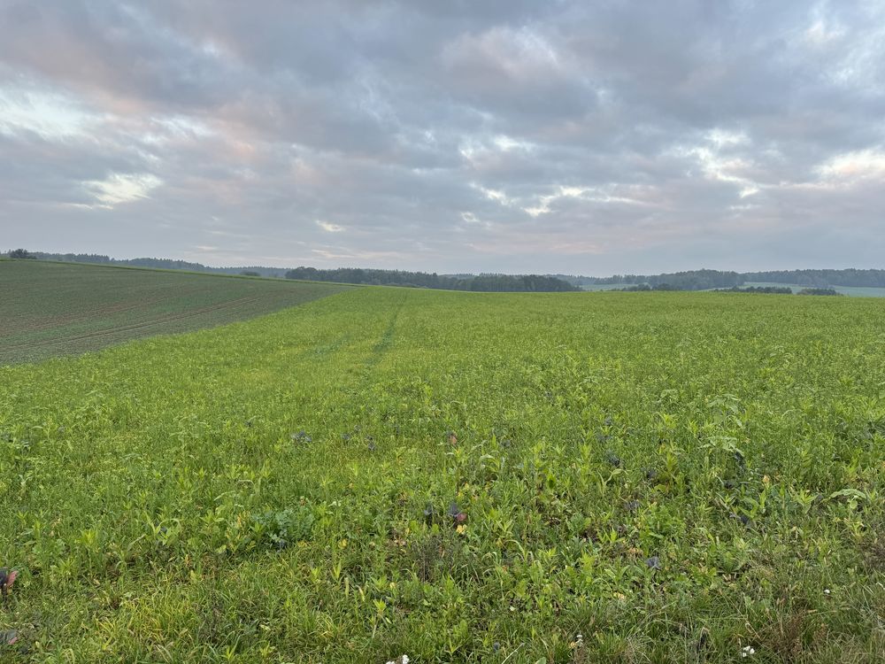 Dzialka rolno - budowlana we wsi Sobota Lwowek Slaski  30 arow