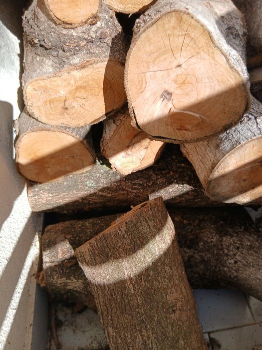 Lenha  nespereira lareira