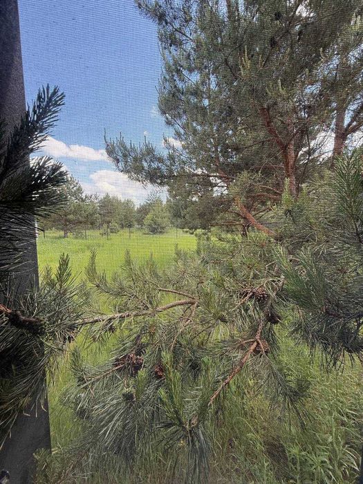 Продам котедж у Ясногородці