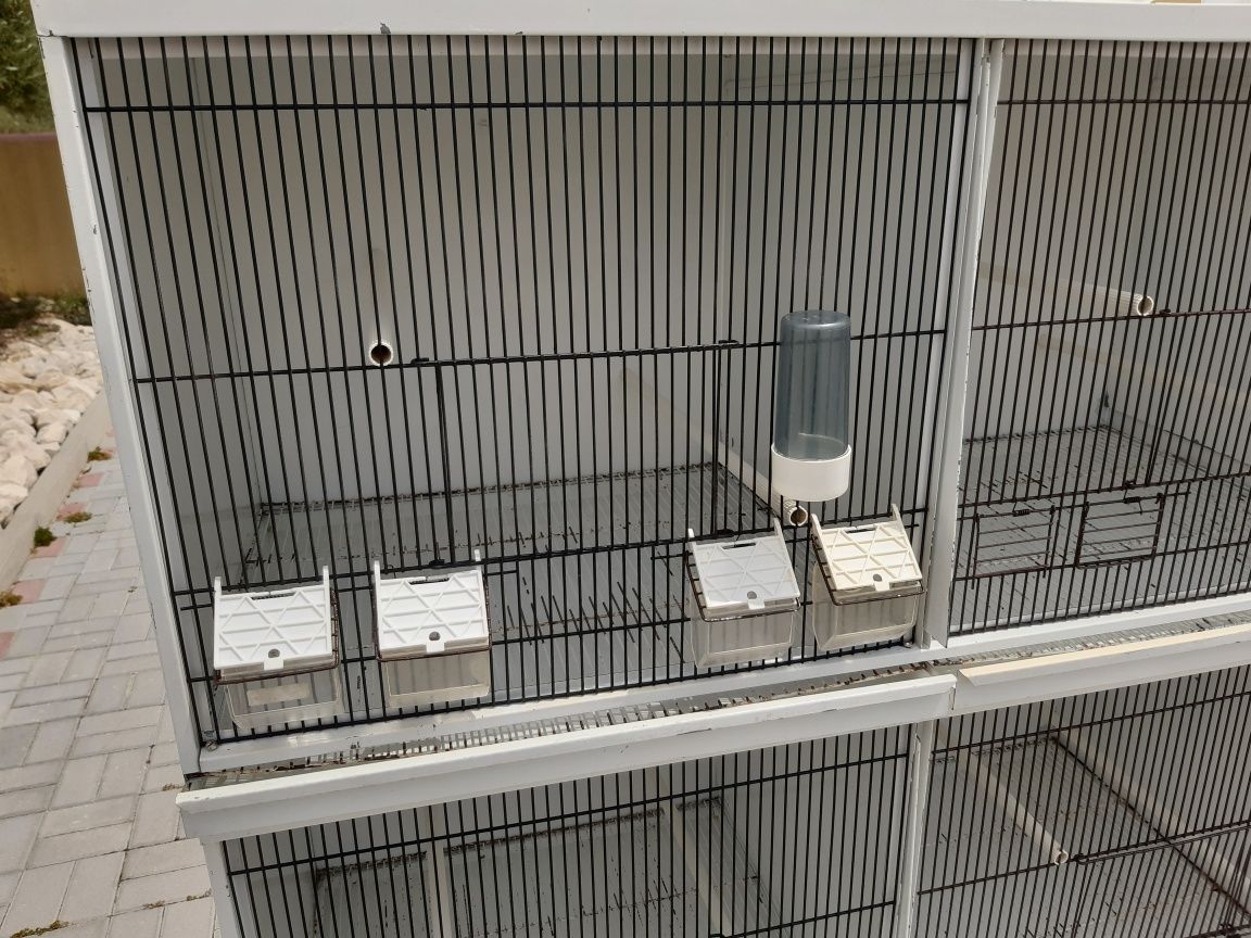 Voador/Gaiola para Aves