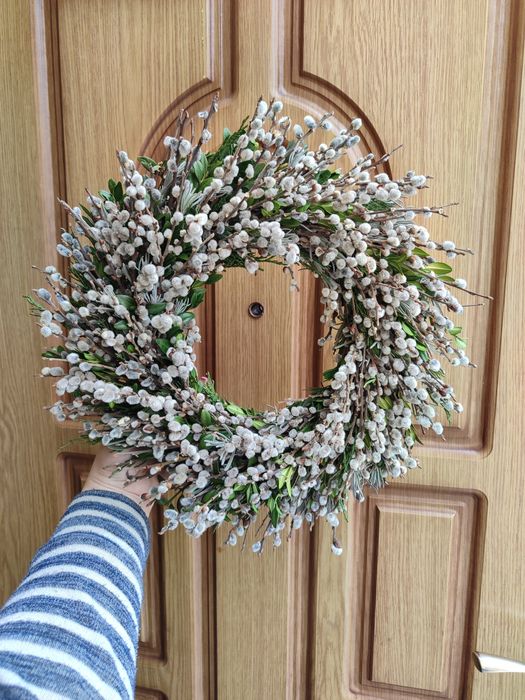 Віночки з вербових котиків Верба баська шутка лоза