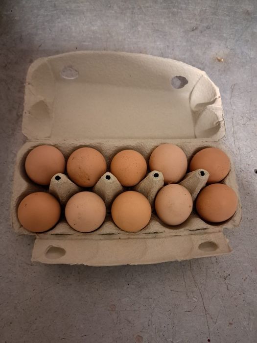 Jaja wiejskie, kurze jajka