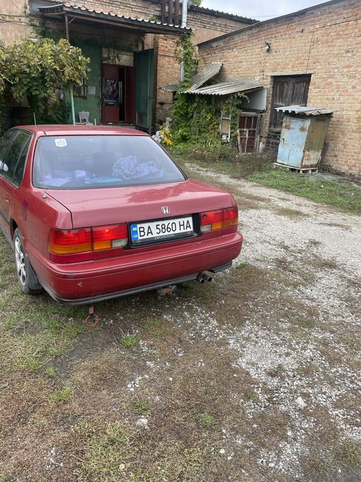 Продам Honda accord