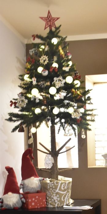 Choinka na pniu 170cm