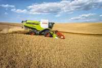 Claas / Оренда комбайнів Claas Lexion 740 та 580 + жатка Vario — 9 м