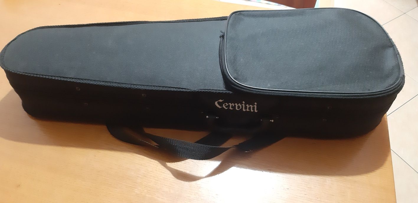 Violino com estojo